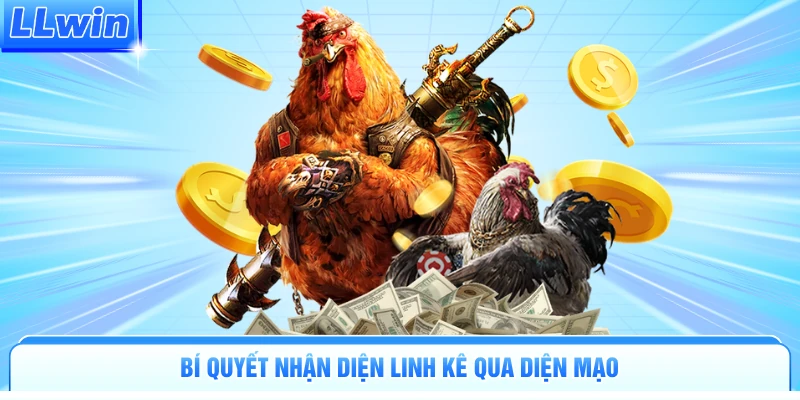Cách Chọn Gà Chọi Hay | Bí Quyết Đọc Vị Chiến Kê Đỉnh Cao - pa79
