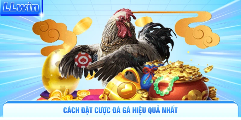 Gà Xanh Mồng Trích | Chiến Kê Khét Tiếng Độc Cô Cầu Bại - pa79