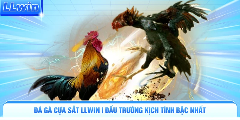 Đá Gà Cựa Sắt LLWIN | Đấu Trường Kịch Tính Bậc Nhất - pa79