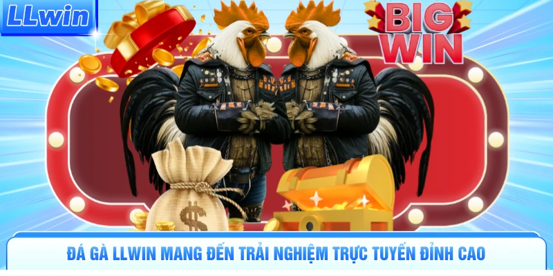 Đá Gà LLWIN | Đấu Trường Nảy Lửa Tranh Tài Kịch Tính - pa79