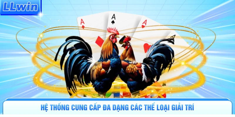 Đá Gà LLWIN | Đấu Trường Nảy Lửa Tranh Tài Kịch Tính - pa79