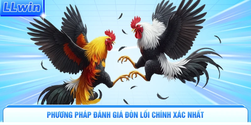 Cách Chọn Gà Chọi Hay | Bí Quyết Đọc Vị Chiến Kê Đỉnh Cao - pa79