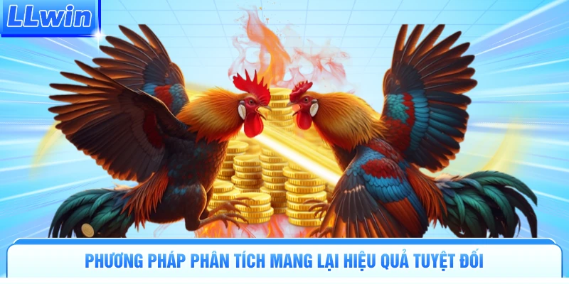 Đá Gà LLWIN | Đấu Trường Nảy Lửa Tranh Tài Kịch Tính - pa79