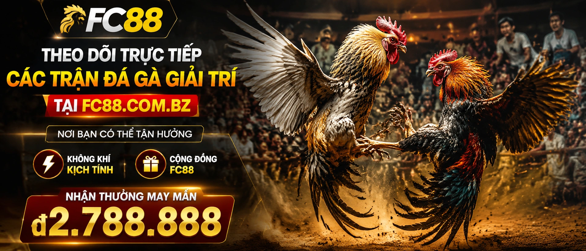 Đá Gà Khuyến Mãi +889K | fc88 - pa79